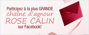 Participez � la plus grande cha�ne d'amour rose c�lin sur Facebook