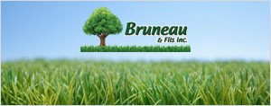 Un gazon plus vert avec Bruneau & Fils