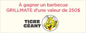 La chanson rythmefm.com: un barbecue Grillmat Tigre G�ant
