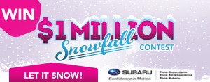 THE ONE MILLION DOLLAR SNOWFALL