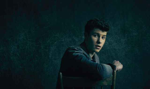 See Shawn Mendes