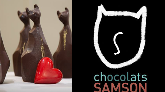 Gagnez votre chat Samson pour la St-Valentin !